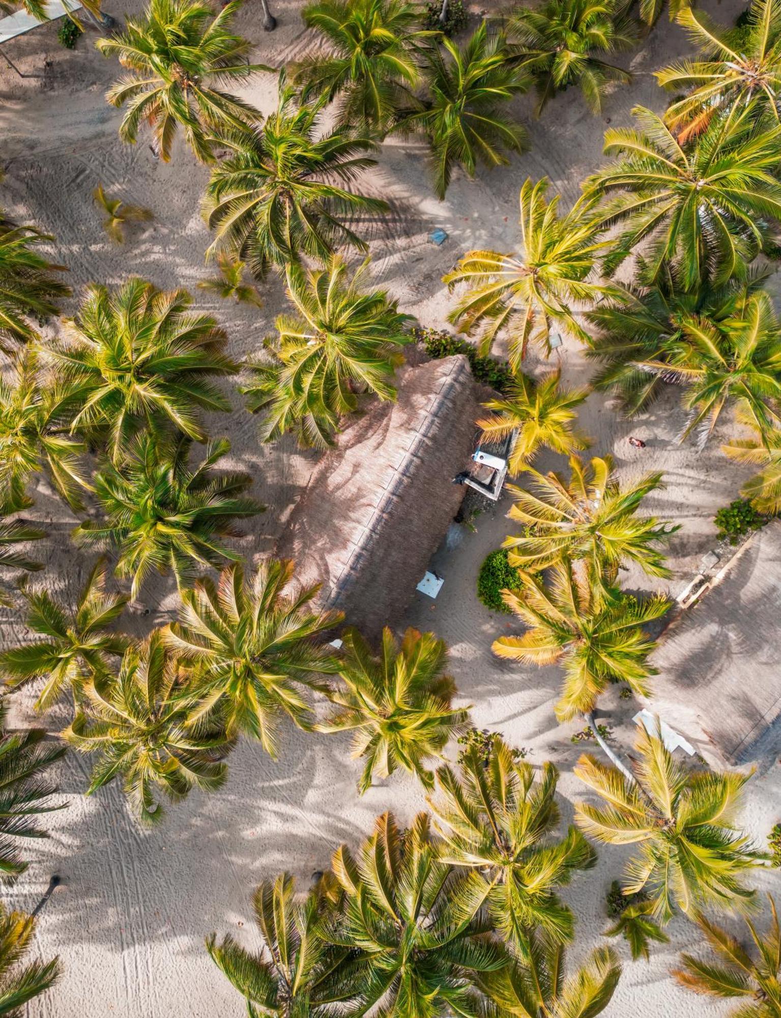 Aite Eco Resort Palomino Εξωτερικό φωτογραφία